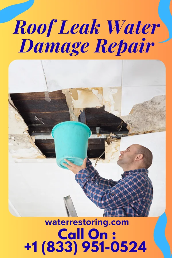 Roof Leak Water Damage Repair in Westwego, LA